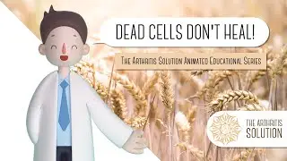 Dead Cells Don't Heal