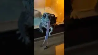 Вовремя убрал пальцы
