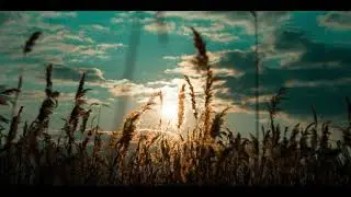 sunset footage 4k, Sunset footage no copyright, sunset footage free, Field stock footage