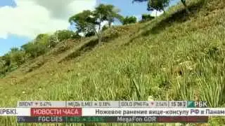 Алоэ Вера в Гватемале, РБК ТВ
