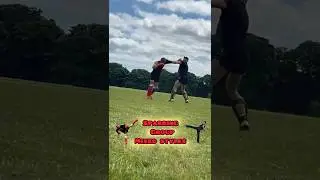 GROUP SPARRING IN THE PARK(open session)