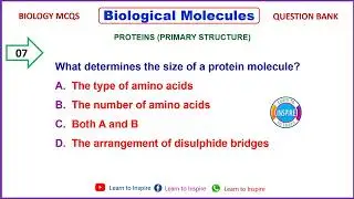 Proteins ,Primary Structure #biologicalmolecules #biologicalmoleculesmcqs #mdcatbiology #biologymcqs