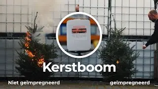 Impregneren van een kerstboom | 123impregneer.nl
