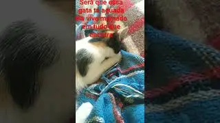 acho que ela sente falta da mãe dela e do leite