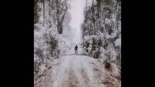 plr_jack - Auditory_hallucinations.wav