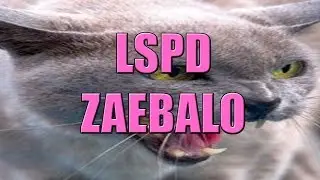 два ахуевших рейда подряд [stage nonRp]