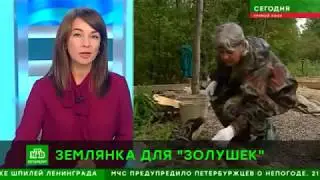 Землянка для "золушек"
