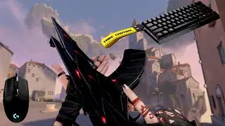 Valorant, But it's 71% Headshot