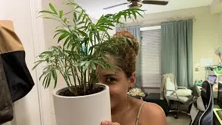 My Plants