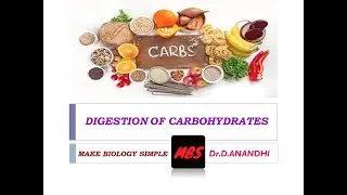 I ALLIED_HEALTH_SCIENCE I BIOCHEMISTRY LECTURE 6 I  DIGESTION  OF CARBOHYDRATES I
