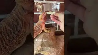 А на что вы живёте 🤔 @Маришкины делишки