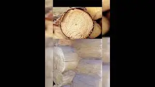 ДИЛЕММА какой дом выбрать 