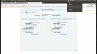 ServerFaces monitoring