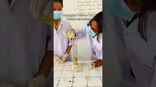 Pembuatan Sabun Batang||Fantastik Kimia #kimiaindustri #pembuatansabun#sabunbatang