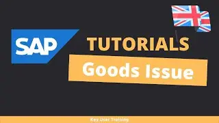 SAP MIGO - How to perform a good issue?