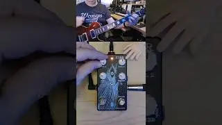 Dark Star Reverb Demo 🎸 #guitarpedals #shorts