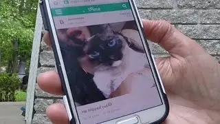 Ashy's reaction to the girl's freakishly  realistic meowing