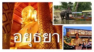 เที่ยวอยุธยา 2568 1 วัน ลงเรือเที่ยววัด ดูช้างเล่นน้ำ แวะชิมร้านเด็ดติดกระแสตอนนี้ สตางค์เครป !