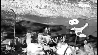 REAL 1940's HITLER YOUTH INDOCTRINATION VIDEO *VERY GRAPHIC*