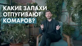 Какие запахи отпугивают комаров?