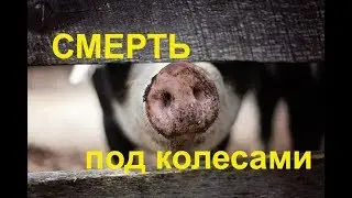 Смерть под Колесами. Жесть