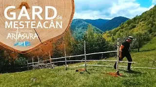 Gard de mesteacăn Ep.1 | How to build rustic pasture fence Ep.1