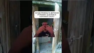 Папич рофл