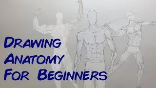 After Drawing Anatomy For 5 Days