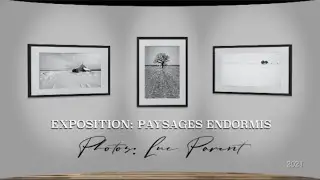Exposition photo Luc Parent
