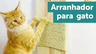 Faça você mesmo um arranhador de Gato - PAP médio