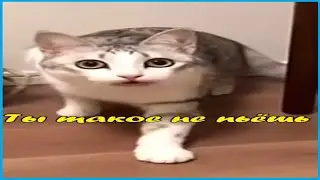тик ток убивает мое время