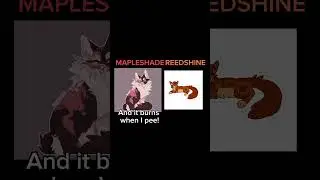 I wonder which one is the lie…//#warriorcats #edit