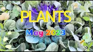 Plant Tour May 2023