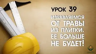 Почему растет трава из плитки? Секрет раскрыт!