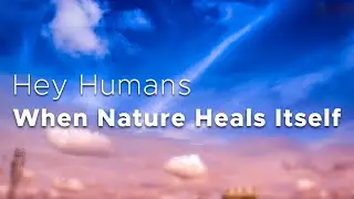 Corona Time 2020 || When Nature Heals Itself || Save Your Nature