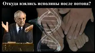 Билли Страйкен. Откуда взялись исполины после потопа?
