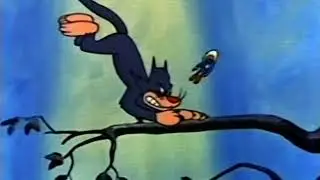 BIRD SYMPHONY