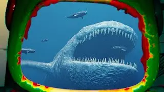 The Bloop vs  Blue Whale 2022