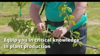 Bachelor of Science - Plant & Horticultural Sciences major