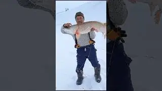 Трофейная щука, Торгай 