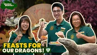 Mandai Monthly - Feasts For Dragons!