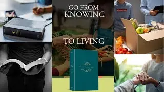 Life Application Study Bible: Go from Knowing to Living Scripture