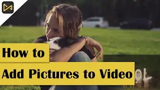 How to add pictures to video|AceMovi video#videoediting  #tutorial