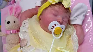 TROQUINHA DE PASSEIO COM A BEBÊ REBORN ANA LAURA #kitlaura