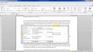 Hojas de cálculo Excel en Word
