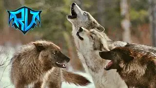 KURT SAVAŞI!! | Ark Youtuber Savaşları #14