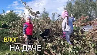 VLOG Дачный сезон / Ника и Лия запутались в ветках / Ягдтерьер на даче / Шашлык,  рецепт из кабачка