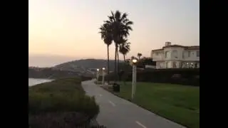 Mickey Mouse Hijacks Vine