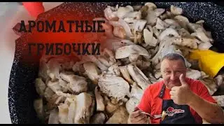грибОЧКИ