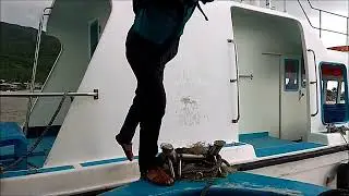 дорога  обратно остров обезьян